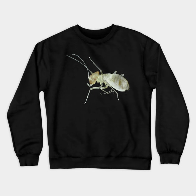 Barklouse under the microscope Crewneck Sweatshirt by SDym Photography